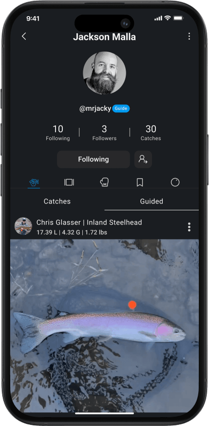Connect with Guides